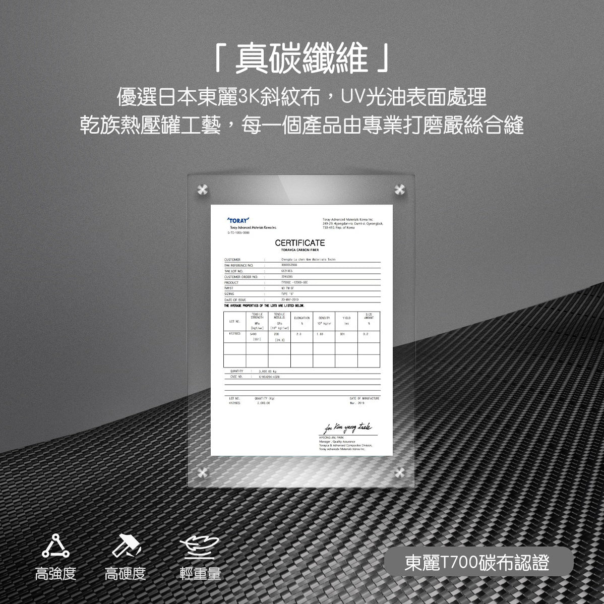 TPARTS Model Y/煥新版Y/煥新版3  真碳纖維鏡頭翼子板保護蓋