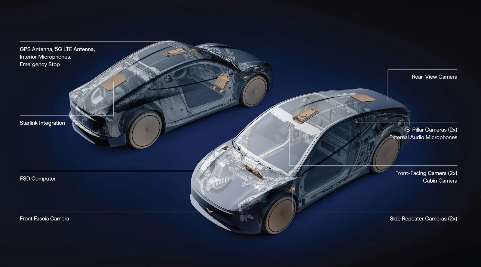 Tesla Robotaxi 登陸坦帕與奧蘭多，FSD 即將迎來重大變革！